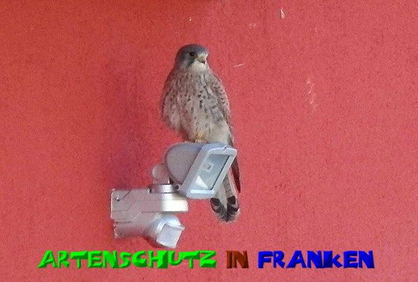 Bild zum Eintrag (50833-160)
