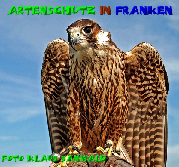 Copyright AiS - Klaus Sanwald Bild zum Eintrag (50907-160)