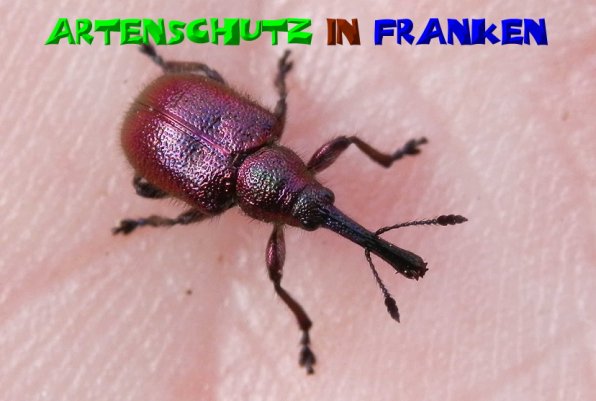 Bild zum Eintrag (51016-160)