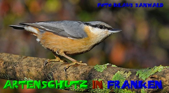 Copyright AiS - Klaus Sanwald Bild zum Eintrag (51103-160)