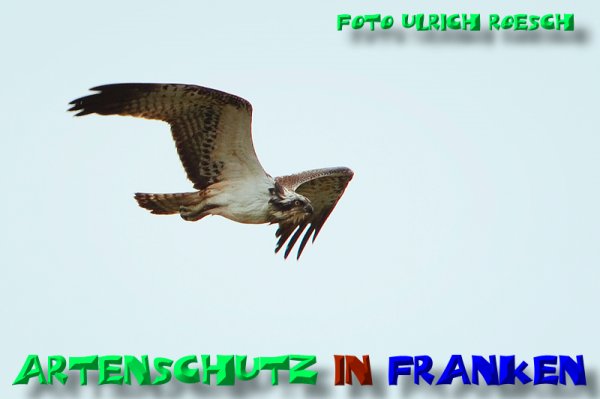 Copyright AiS Ulrich Roesch Bild zum Eintrag (52074-160)