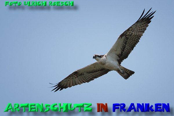 Copyright AiS Ulrich Rösch Bild zum Eintrag (52075-160)