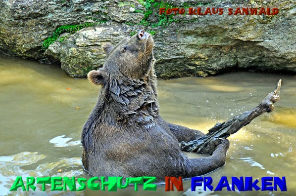 Copyright AiS-Klaus Sanwald Bild zum Eintrag (52115-160)