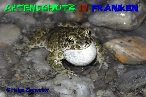 Copyright AiS Helga Zinnecker Bild zum Eintrag (52499-160)