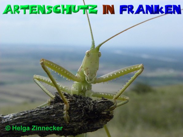 Copyright AiS Helga Zinnecker Bild zum Eintrag (52512-160)