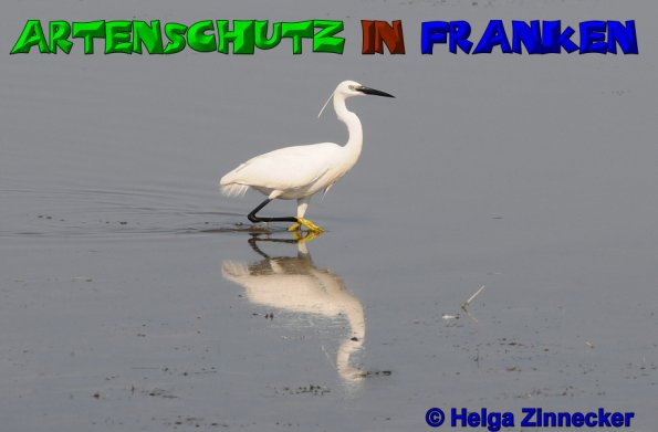 Bild zum Eintrag (52772-160)