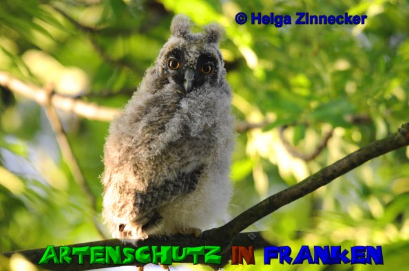 Copyright AiS Helga Zinnecker Bild zum Eintrag (52783-160)