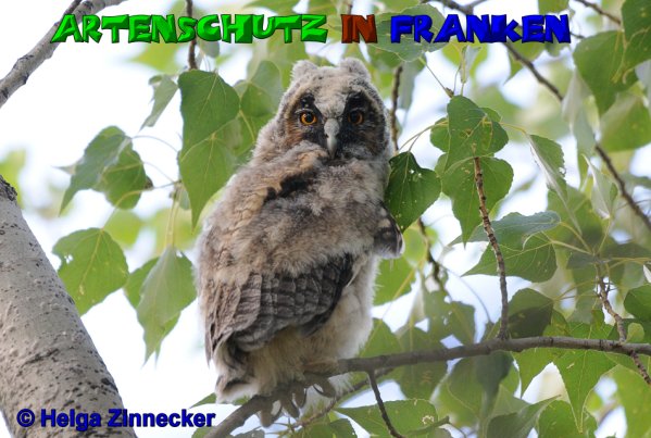 Copyright AiS Helga Zinnecker Bild zum Eintrag (52784-160)