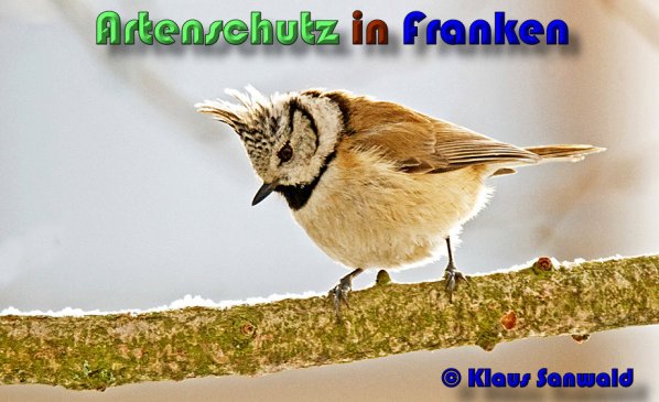 Copyright AiS Klaus Sanwald Bild zum Eintrag (53411-160)