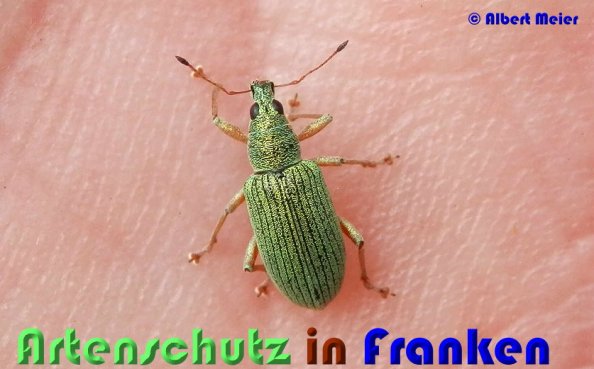 Bild zum Eintrag (53670-160)