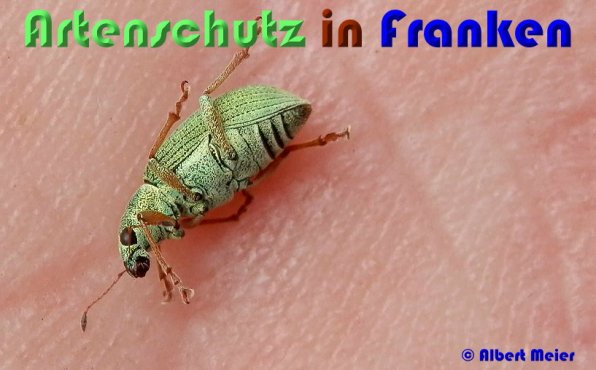 Bild zum Eintrag (53671-160)