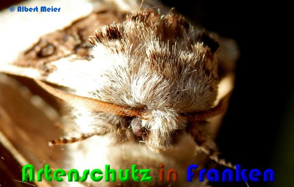 Bild zum Eintrag (53750-160)