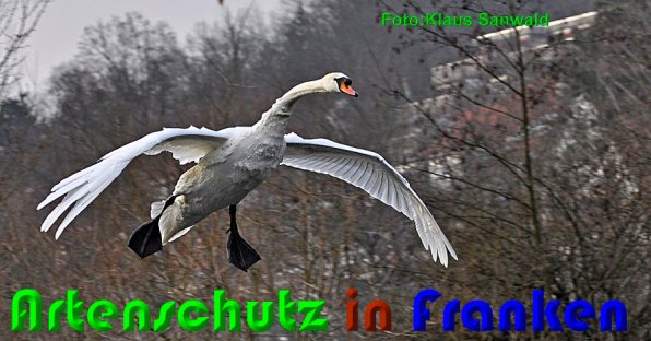 Copyright AiS Klaus Sanwald Bild zum Eintrag (54017-160)
