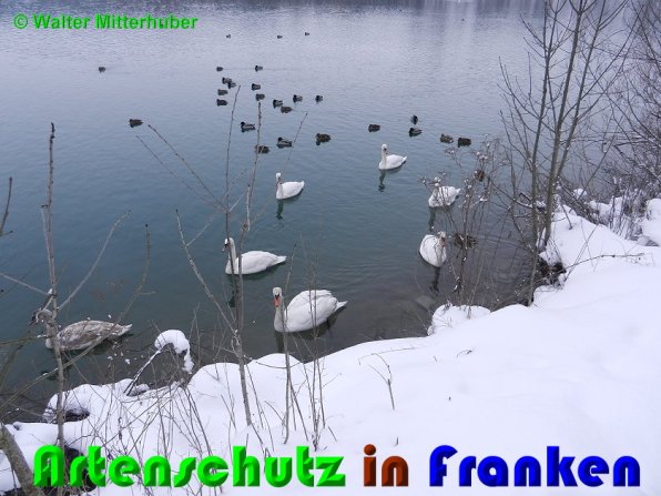 Copyright AiS Mitterhuber Bild zum Eintrag (54116-160)