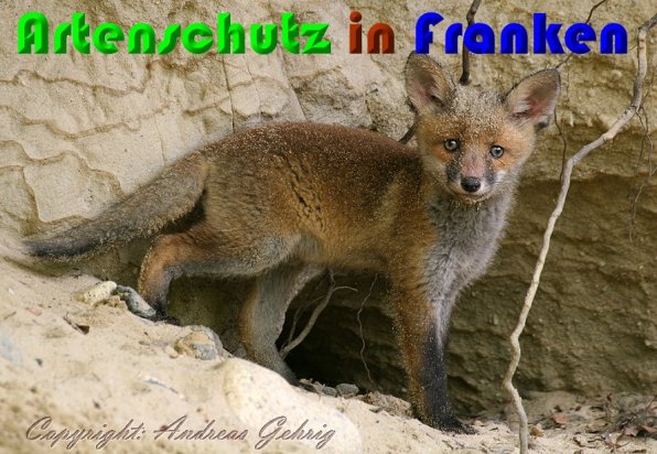 Copyright AiS Andreas Gehrig Bild zum Eintrag (54147-160)