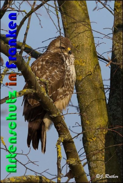 Copyright AiS Johannes Rother Bild zum Eintrag (54285-160)