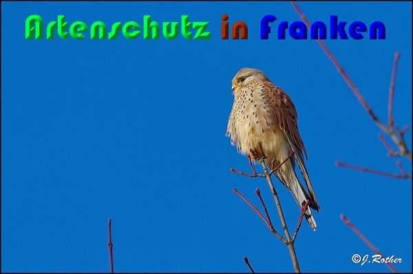 Copyright AiS Johannes Rother Bild zum Eintrag (54289-160)