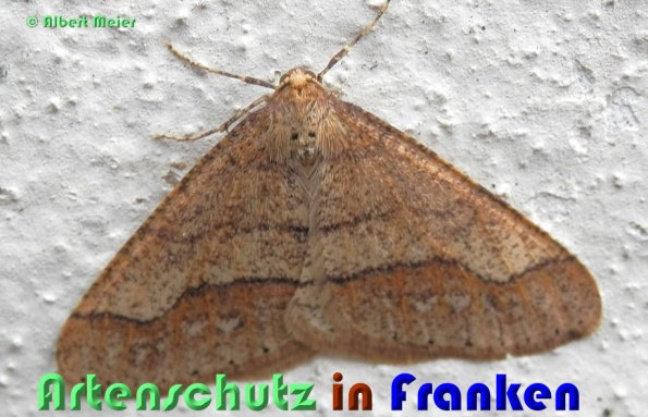 Copyright AiS Albert Meier Bild zum Eintrag (54829-160)