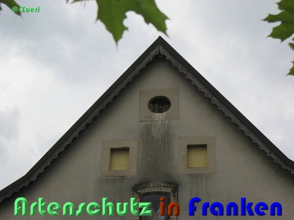 Copyright AiS Zuerl Bild zum Eintrag (54835-160)