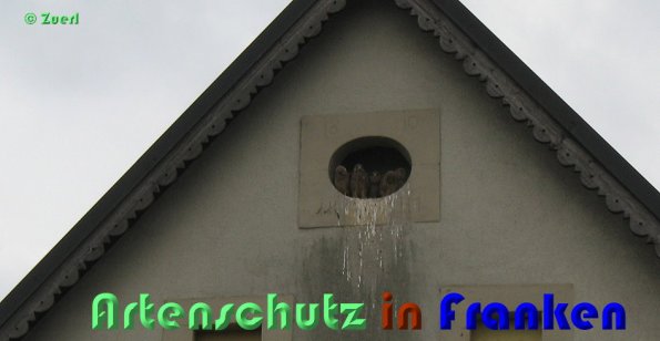 Copyright AiS Zuerl Bild zum Eintrag (54836-160)