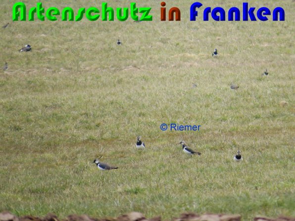 Copyright AiS Riemer Bild zum Eintrag (56219-160)