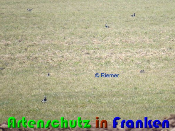 Copyright AiS Riemer Bild zum Eintrag (56222-160)