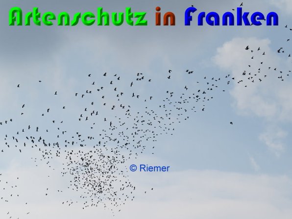 Copyright AiS Riemer Bild zum Eintrag (56224-160)
