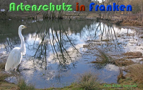 Copyright AiS Klaus Sanwald Bild zum Eintrag (56487-160)