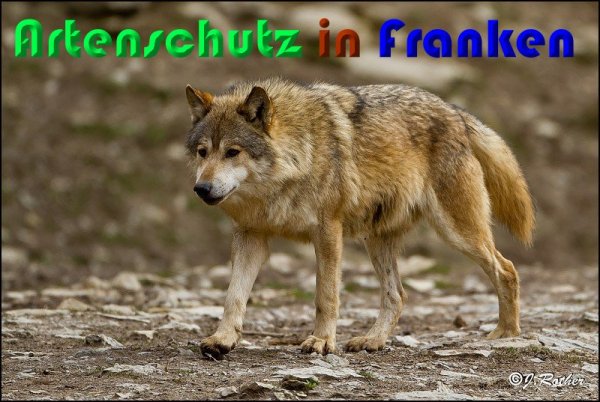 Copyright AiS Johannes Rother Bild zum Eintrag (56908-160)