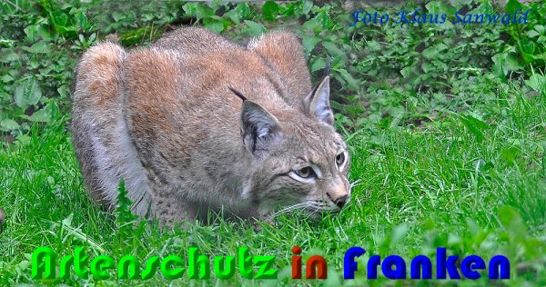 Copyright AiS Klaus Sanwald Bild zum Eintrag (57129-160)