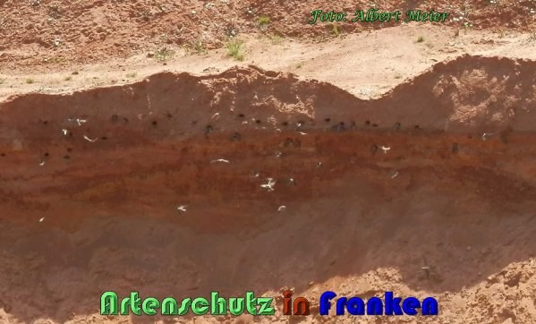 Copyright AiS Albert Meier Bild zum Eintrag (57453-160)
