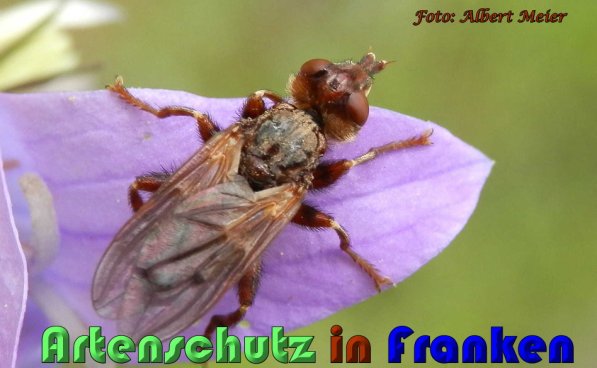 Bild zum Eintrag (57730-160)