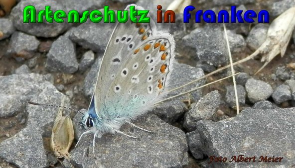 Copyright AiS Albert Meier Bild zum Eintrag (57925-160)