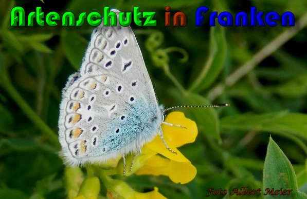 Copyright AiS Albert Meier Bild zum Eintrag (57928-160)