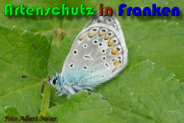 Copyright AiS Albert Meier Bild zum Eintrag (57930-160)
