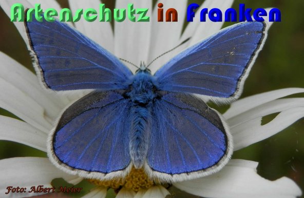 Copyright AiS Albert Meier Bild zum Eintrag (58276-160)