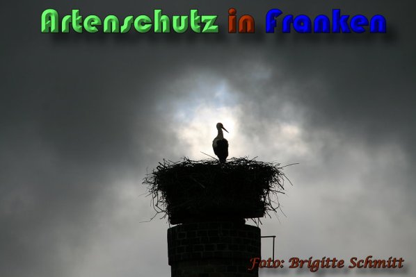 Copyright AiS Brigitte Schmitt Bild zum Eintrag (58294-160)