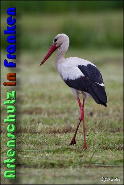Copyright AiS Johannes Rother Bild zum Eintrag (58298-160)