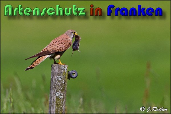 Copyright AiS Johannes Rother Bild zum Eintrag (58609-160)