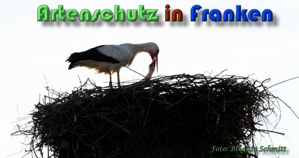 Copyright AiS Brigitte Schmitt Bild zum Eintrag (58620-160)