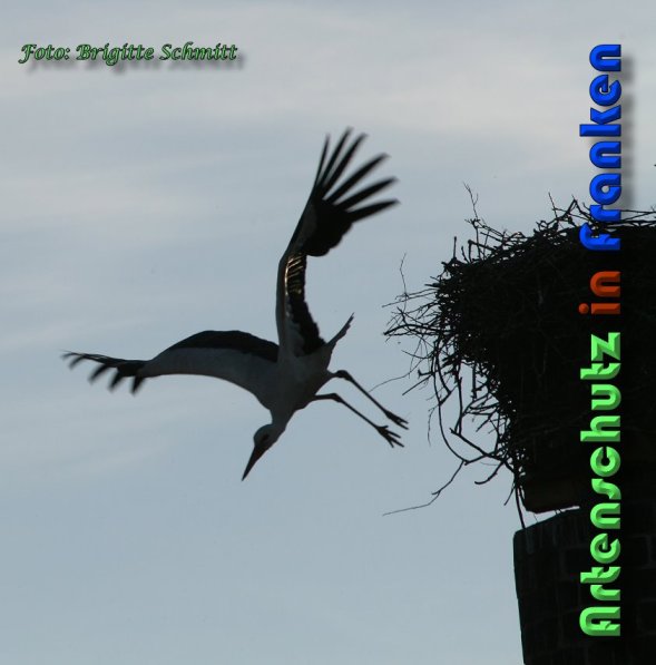 Copyright AiS Brigitte Schmitt Bild zum Eintrag (58624-160)