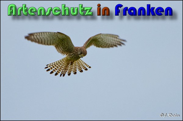 Copyright AiS Johannes Rother Bild zum Eintrag (58636-160)