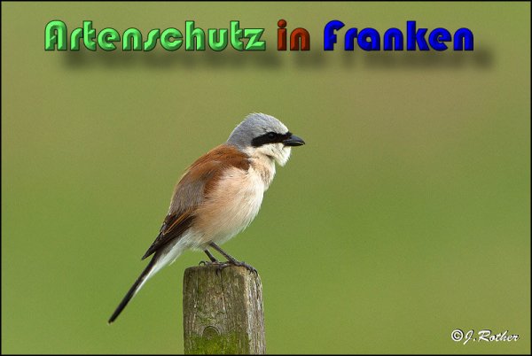 Copyright AiS Johannes Rother Bild zum Eintrag (58715-160)