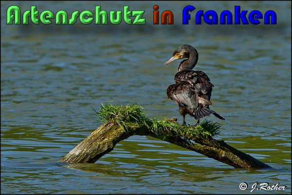 Copyright AiS Johannes Rother Bild zum Eintrag (58809-160)