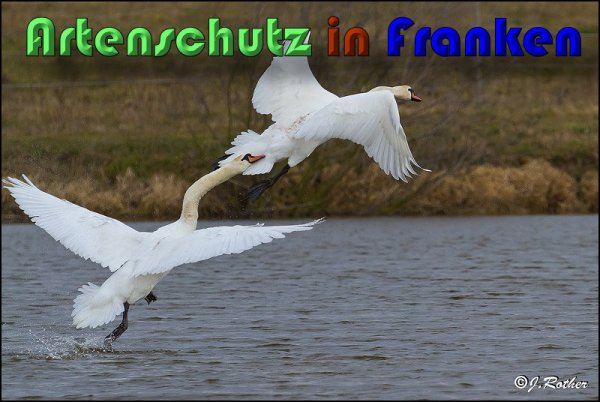 Copyright AiS Johannes Rother Bild zum Eintrag (58820-160)