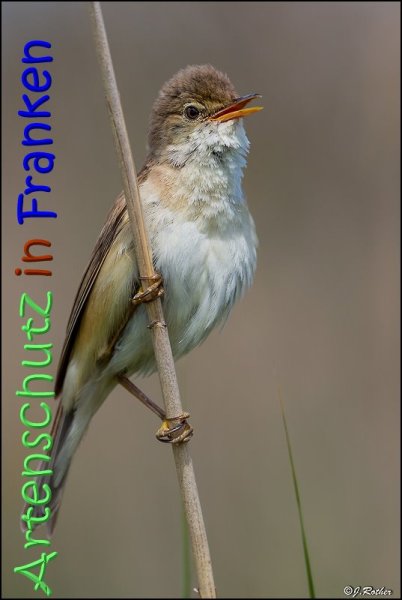 Copyright AiS Johannes Rother Bild zum Eintrag (58909-160)