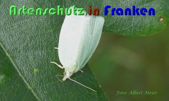 Bild zum Eintrag (58999-160)