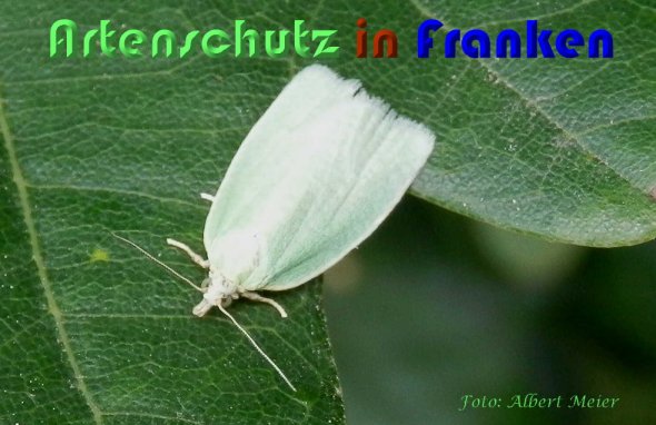 Bild zum Eintrag (59000-160)