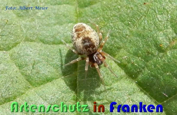 Bild zum Eintrag (59003-160)