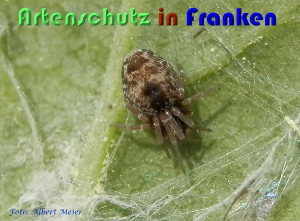 Bild zum Eintrag (59005-160)